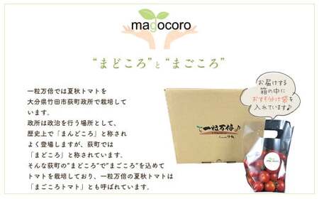 まごころミニトマトの宝石箱 1.7kg(約80～110玉)×2箱 計3.4kg サンチェリーピュア トマト【2026年7月上旬から11月下旬まで発送予定】