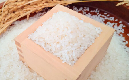 がばいＵ米（うまい）無洗米 10kg（5kg×2袋） / 無洗 国産 九州 / 佐賀県 / 大塚米穀店[41ANAD004]