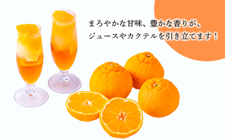 濃厚な甘さ 手搾り不知火(しらぬい)果汁200ml×3p [保存料不使用20000円 ワンストップオンライン] TF0883-P00074