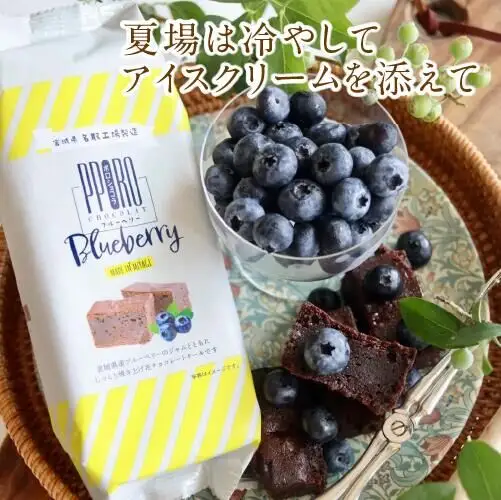 ポロショコラ ブルーベリー 160g×1本 ラグノオささき チョコレート お菓子