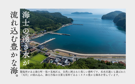 【島の恵みを食卓へ】海士乃塩100g×3個セット 塩 調味料 天日塩 料理 手作り