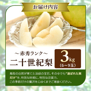 1263.【2026年度発送先行予約】数量限定　二十世紀梨　3kg