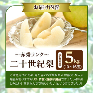 1264.【2026年度発送先行予約】訳あり　二十世紀梨　5kg