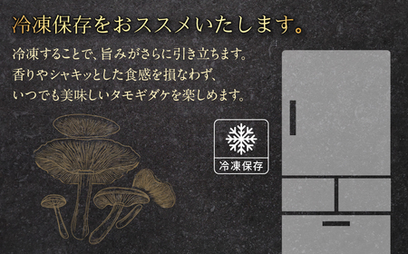 国産 生たもぎ茸 100g×10パック タモギ茸