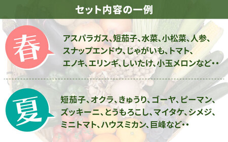 【6回定期便】【奇数月コース】野菜定期便 15品目以上 野菜 定期便[SCZ002]