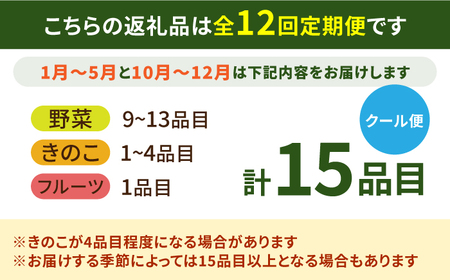 【12回定期便】野菜定期便15品目以上 [SCZ019] 