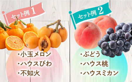 【4回定期便】旬フルーツ定期便 旬の果物をお任せで3品目お届け フルーツ定期便 [SCZ020]