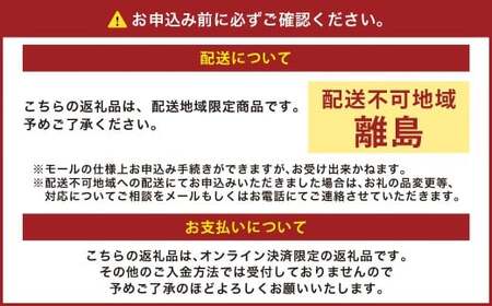 ぶどう 2026年 先行予約 シャイン マスカット 晴王 2房 合計1.4kg以上 【2026年9月上旬～10月上旬 発送予定】 マスカット ブドウ 葡萄 岡山県産 国産 フルーツ 果物 環山堂 くだもの お取り寄せ 贈り物 ギフト 国産