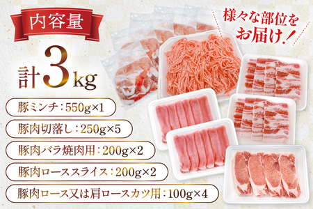 豚肉 宮崎県産豚肉 3kg 詰め合わせ セット [TRINITY 宮崎県 日向市 452061329]