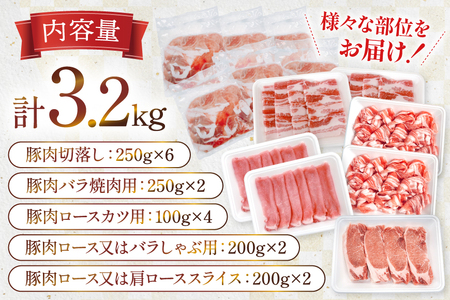 豚肉 宮崎県産豚肉 3.2kg 詰め合わせ セット [TRINITY 宮崎県 日向市 452061328]