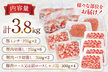 豚肉 宮崎県産豚肉 3.8kg 詰め合わせ セット [TRINITY 宮崎県 日向市 452061327]