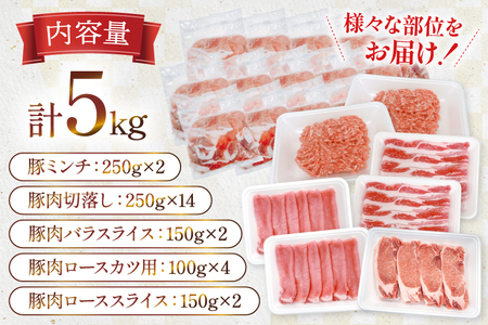 豚肉 宮崎県産豚肉 5kg 詰め合わせ セット [TRINITY 宮崎県 日向市 452061325]