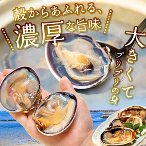 【訳あり】 大アサリ 2kg 愛知県 南知多町