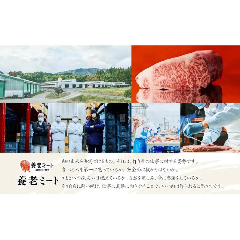 飛騨牛 モモ カタ スライス すき焼き しゃぶしゃぶ用 1kg 赤身 旨み ヘルシー 和牛 黒毛和牛 国産 国産牛 肉 牛肉 グルメ お取り寄せ 送料無料 冷凍 養老ミート 岐阜県 揖斐川町