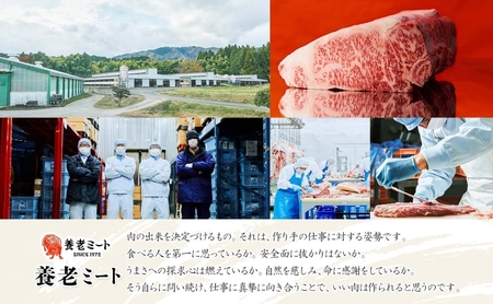 飛騨牛 サーロイン ブロック 5kg 塊肉 和牛 黒毛和牛 牛肉 肉 ステーキ ローストビーフ 厚切りステーキ 焼肉 大容量 国産 国産牛 グルメ ギフト お取り寄せ 贈り物 送料無料 冷凍 養老ミート 岐阜県 揖斐川町