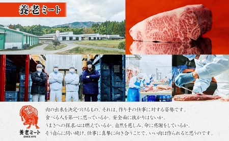 飛騨牛 すき焼きしゃぶしゃぶ用 ロースまたは肩ロース 360g×2 国産 国産牛 日本産 すき焼き しゃぶしゃぶ 肉 牛 牛肉 ロース肉 ロース 肩ロース 肩ロース肉 和牛 養老ミート お取り寄せグルメ 送料無料 岐阜県 美濃市