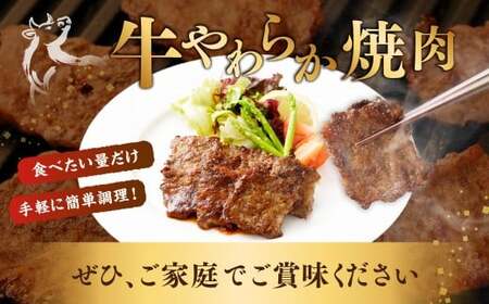 牛やわらか焼肉 500g×2パック 計1kg 焼肉 焼き肉 牛 肉牛 冷凍 熊本県 あさぎり町