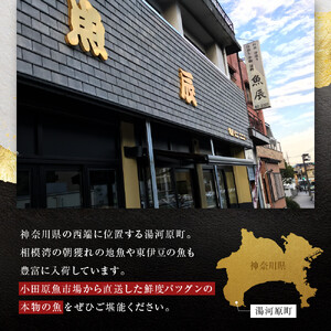 季節の干物の詰め合わせ| 湯河原町 干物 乾物 海 旬の味覚