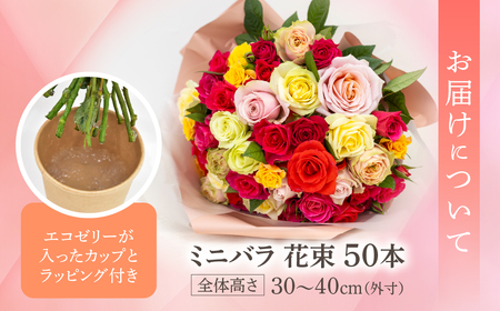 産地直送 ミニバラ 花束 50本 [申込から3か月以内 お届け] ラッピング付 切花 切り花 カットローズ 品種 色 おまかせ 訳あり 訳アリ 四季咲き ミニ バラ 花 ガーデニング 生産量 日本一 ※沖縄 離島配送不可 薔薇 セントラルローズ [mt2085] 