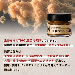 四万十生姜×特許乳酸菌 毎日続ける発酵生姜 「NOT JUST GINGER」 しょうが ショウガ 生姜ペースト  ／ Fnp-03
