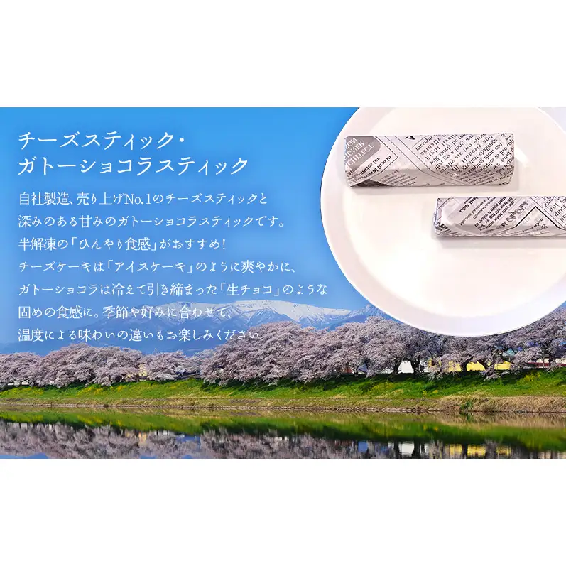 スティック2種セット 冷凍スイーツ 10本入 スティックケーキ 詰め合わせ チーズケーキ ＆ ガトーショコラ 食べ比べ ギフト 個包装 アイスケーキ風 半解凍 ひんやり お取り寄せ 焼き菓子 贈り物 自社製造