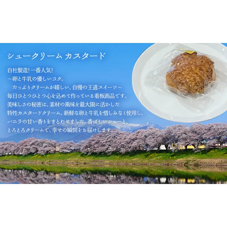シュークリームカスタード10個セット シュークリーム カスタード 10個入 セット 詰め合わせ 当店一番人気 濃厚 卵 と 牛乳 の コク スイーツ 冷凍 焼き菓子 ギフト 個包装 お菓子 お取り寄せ デザート 大河原町 おてんとさん 自社製造