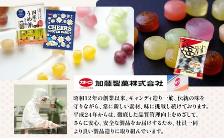  加藤製菓 塩飴 160g×7袋 飴 あめ キャンデイー 個包装 国産 日本産 素材の味 素材 塩 ソルトキャンディー 優しい味わい 持ち歩き お取り寄せ 送料無料 愛知県 あま市