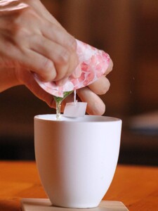 16-5 お茶 川根茶 ティーバッグ 静岡茶/お茶遊び 蓋付きティーバック「茶っぽ」×5セット