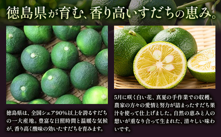  BiBiすだちハイボール 酒 12本