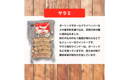 生トン【サラミ味】豚生ウインナー 計10本（各40g×5本×2P）/ ソーセージ ウインナー BBQ / 佐賀県 / 山代ガス株式会社 旬菜舎さと山[41AABM050]
