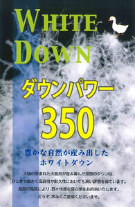 【数量限定・訳あり】羽毛ふとん【シングル】ホワイトダウン８５％使用【柄お任せ】