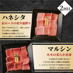【3回定期便】A5黒毛和牛 希少部位 6種盛り(計3kg) 黒毛和牛