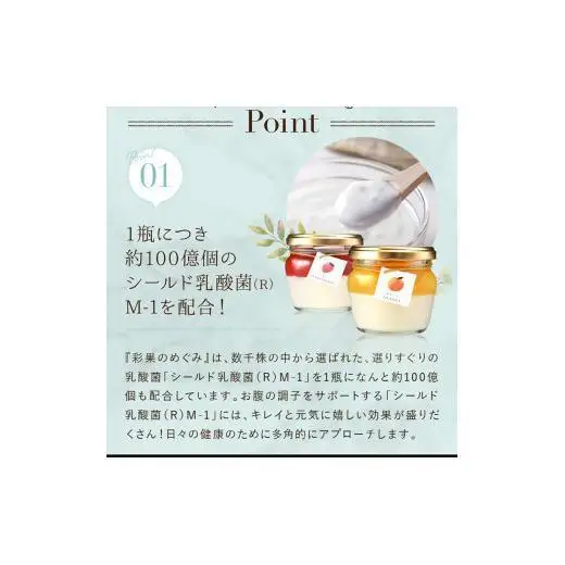 もりん 彩果の恵み 生チーズケーキ 12個詰め合わせ