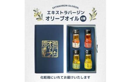 国産 エクストラバージンオリーブオイル オリーブ果実酢 お試し 4本セット