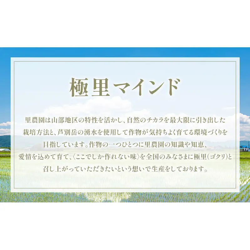 【2026年夏発送】富良野産 里農園の〈赤肉メロン〉 1玉 2kg以上 メロン 富良野メロン 赤肉メロン 果物 新鮮 甘い 北海道 富良野市