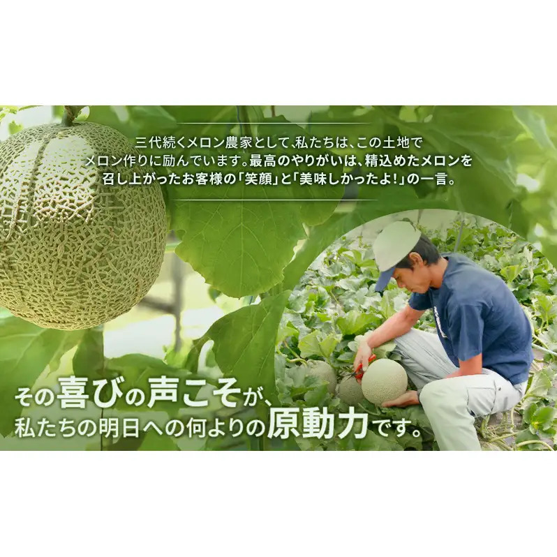 富良野産 キングメロン 大玉 2玉 秀品 計4kg 赤肉 メロン 富良野メロン 果物 フルーツ 甘い ジューシー 新鮮 ブランドメロン 贈り物 ギフト おやつ 夏 北海道 富良野市