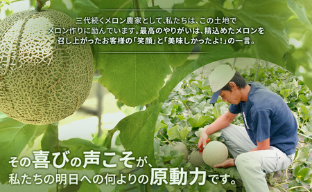 富良野産 キングメロン 4～5玉 秀品 (計8kg) 赤肉 メロン 富良野メロン 果物 フルーツ 甘い ジューシー 新鮮 ブランドメロン 贈り物 ギフト おやつ 夏 北海道 富良野市