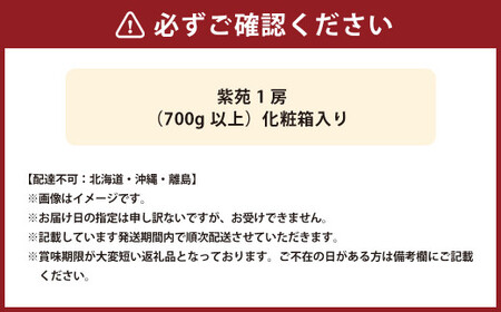 紫苑 1房（700g以上） 化粧箱入り 【2026年10月下旬～11月下旬迄発送予定】  葡萄 ブドウ ぶどう フルーツ 果物 ギフト 国産 岡山県産