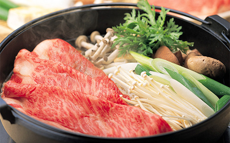 「A4等級以上 飛騨牛 肩ロース」 250g 和牛 ブランド牛 飛騨牛 小分け 大容量 冷凍でお届け しゃぶしゃぶ すき焼き カタロース スライス 肉のひぐち F6M-327