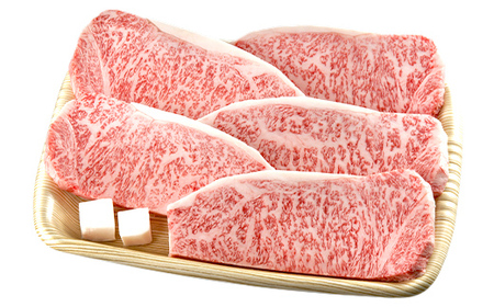 A4等級以上 飛騨牛サーロインステーキ用 900g ( 180g × 5枚 )　霜降り 牛肉 サーロイン 牛肉ステーキ 牛肉 肉 和牛 高級牛肉 5人前 国産牛 国産 牛 ブランド牛 ネオプライムヒグチ 肉のひぐち お中元 お歳暮 ギフト F6M-332
