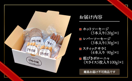 【新聞で紹介されました】  けむり屋 大人のための おつまみ セット 詰合せ 無添加 ソーセージ サラミ ボローニャ 加工肉 お肉 肉 豚肉 北海道 上富良野町