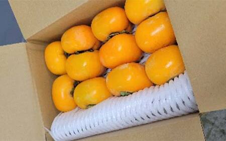 秋の味覚「平核無柿 2kg」 FSY-2726