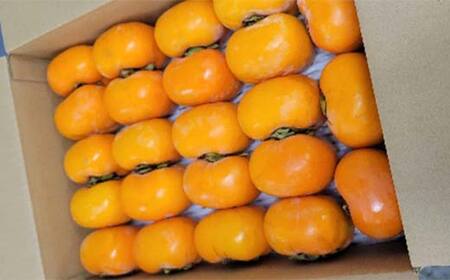 秋の味覚「平核無柿 4kg」 FSY-2727