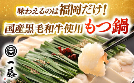 【全2回定期便】 【一藤】 もつ鍋醤油味 2～3人前 × 博多華味鳥 水炊き ちゃんぽん付き 2人前 [ABZY018]