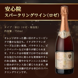 安心院スパークリングワイン赤(計750ml)酒 お酒 ワイン 赤ワイン スパークリングワイン ぶどう 葡萄 飲み比べ セット スピード発送 【107306800】【時枝酒店】