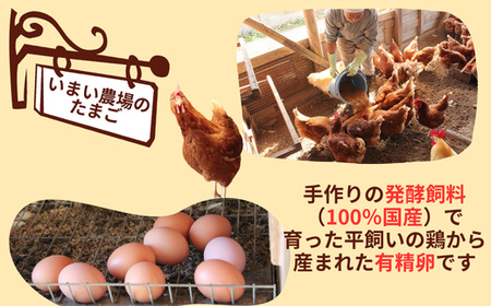 BQ1　平飼い 有精卵の プリン ６個　いまい農場　【 6個入 国産 濃厚 卵 たまご 有精卵 デザート スイーツ スィーツ 贈り物 兵庫県 宍粟市 しそうし 】