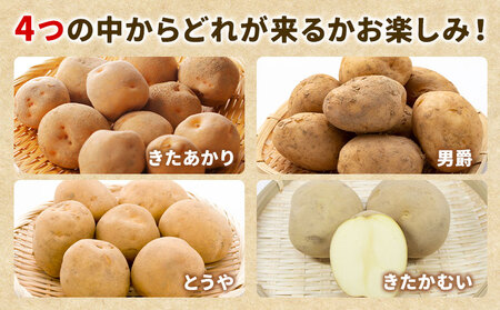 【先行受付】北海道名寄市産 じゃがいも　 Lサイズ　秀品　ジャガイモ