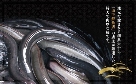 ＜2026年6月配送＞うなぎ蒲焼き 400g (200g×2尾) 