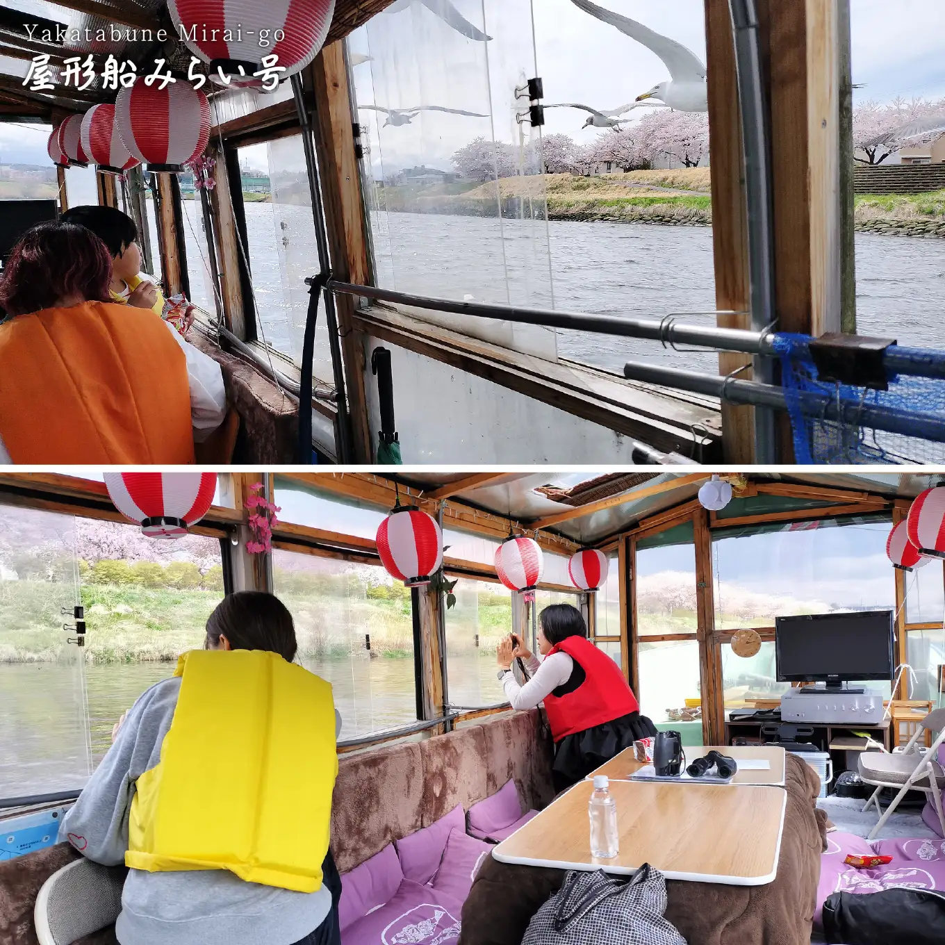 みなとオアシス八戸 ＜青森県で唯一の屋形船＞ 酒蔵利き酒と八戸港内ランチ・クルーズ 【お料理：八戸の人気お土産品、昼】 チケット ４名分 新鮮魚介類 うみねこ餌付け体験 バードウォッチング 青森県 八戸市