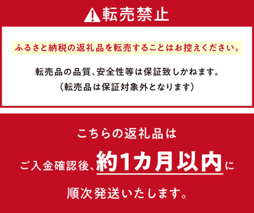 マイクロバブルシャワー「ピュアブルⅡ」チタンブラック _シャワー